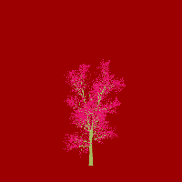 greenshift tree