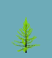greenshift tree