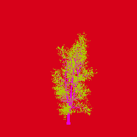 greenshift tree