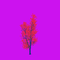 greenshift tree