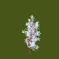 greenshift tree