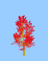 greenshift tree