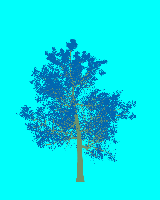 greenshift tree