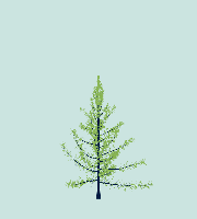 greenshift tree