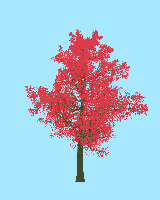 greenshift tree