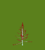 greenshift tree