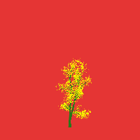 greenshift tree
