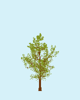 greenshift tree