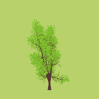 greenshift tree