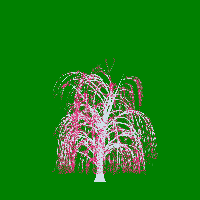 greenshift tree