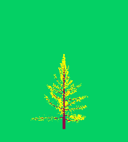 greenshift tree