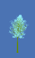 greenshift tree