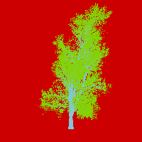 greenshift tree