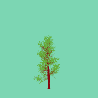 greenshift tree