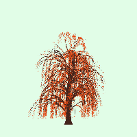 greenshift tree