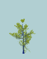 greenshift tree
