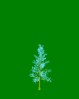 greenshift tree