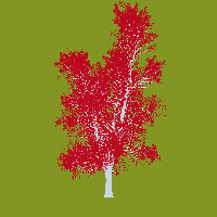 greenshift tree