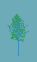 greenshift tree