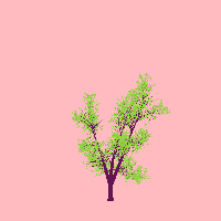 greenshift tree