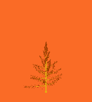 greenshift tree