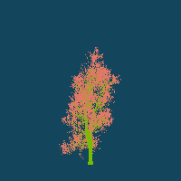 greenshift tree