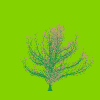 greenshift tree