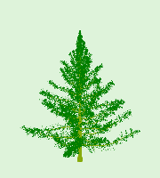 greenshift tree