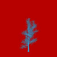 greenshift tree