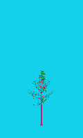greenshift tree