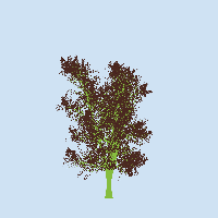 greenshift tree