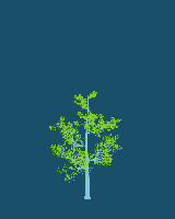 greenshift tree