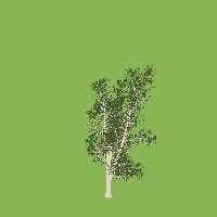greenshift tree