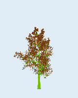 greenshift tree