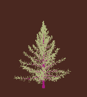 greenshift tree