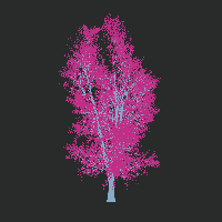 greenshift tree