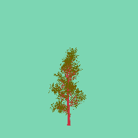 greenshift tree