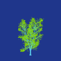 greenshift tree