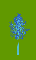 greenshift tree