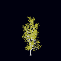 greenshift tree