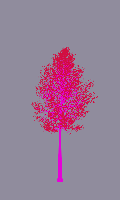 greenshift tree