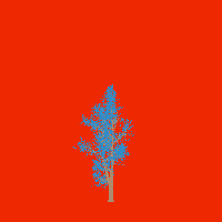 greenshift tree