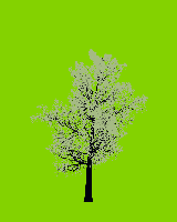 greenshift tree
