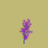 greenshift tree