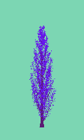 greenshift tree