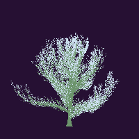 greenshift tree