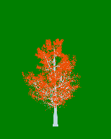 greenshift tree