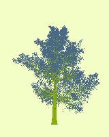 greenshift tree