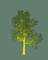 greenshift tree