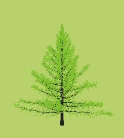 greenshift tree